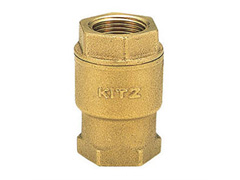 KitZ_Spring Check Valve